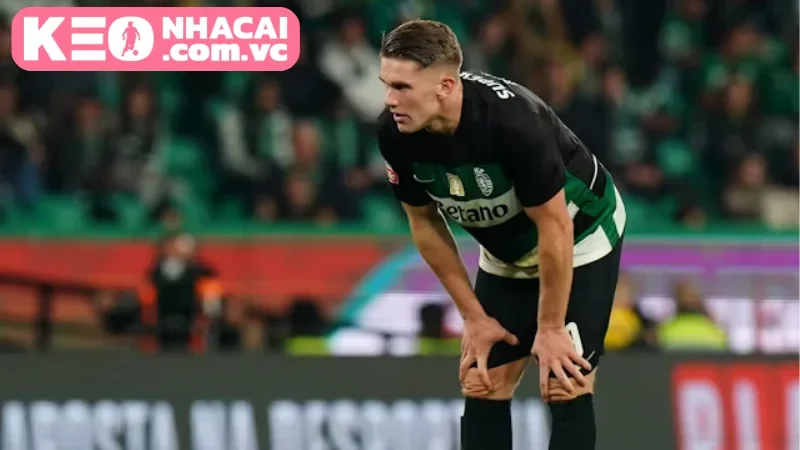 Nhận định trận đấu Sporting Lisbon vs Rio Ave