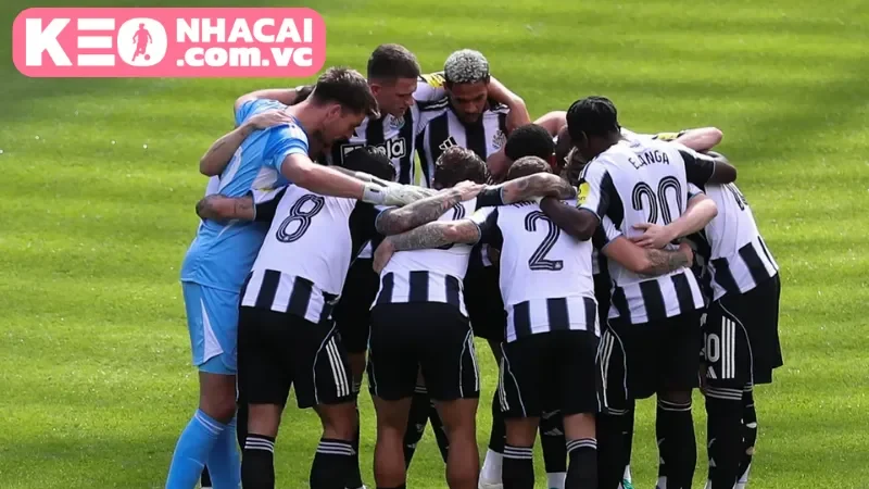 Lịch sử đối đầu của trận đấu Newcastle United vs Fulham trong quá khứ